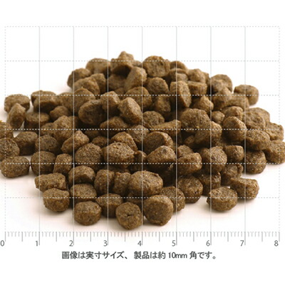 魚肉4 飼い犬 年魚素粒子 12kg【定まり品】【犬願望すること事あたらしい仕かける】【デオクリーン付】