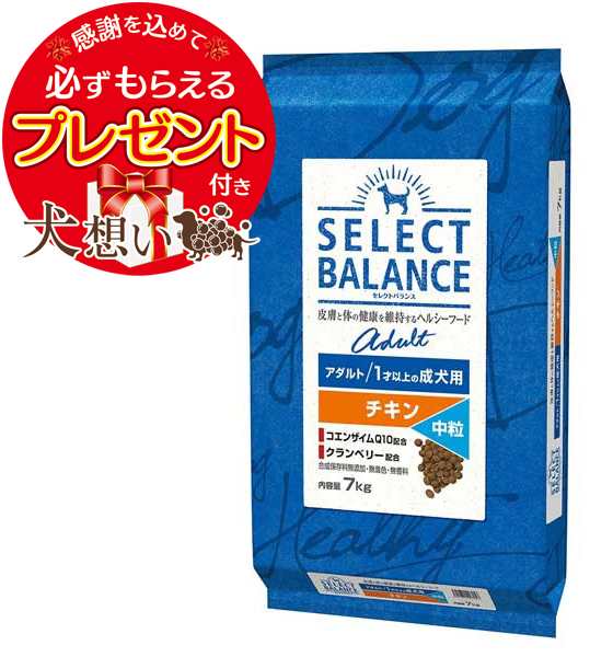 セレクトバランス アダルト チキン 中粒 １才以上の成犬用 7kg