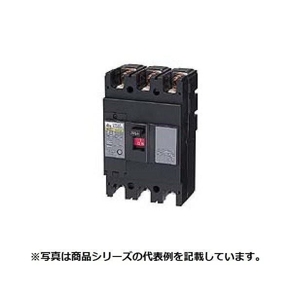 サーキットブレーカ(経済形) 日東工業 NE153A3P125A