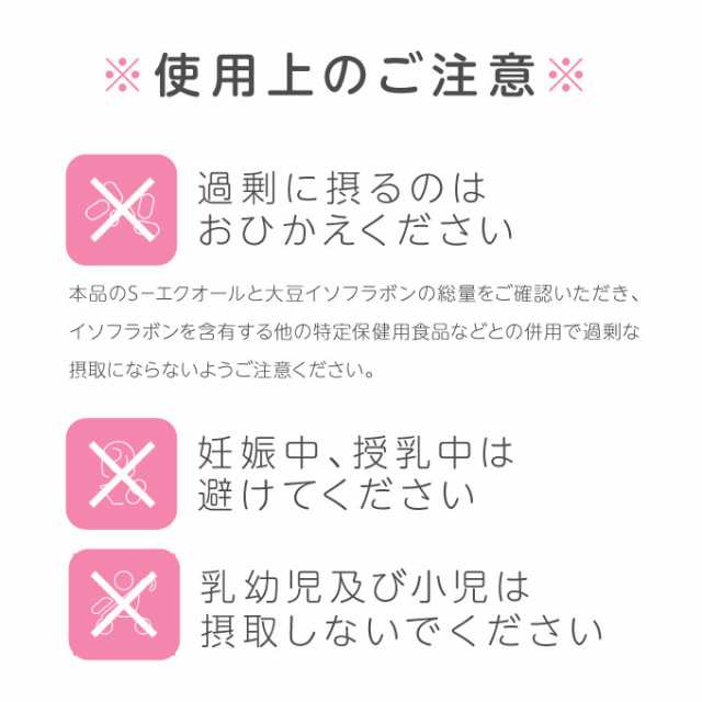 大塚製薬 エクエル パウチ 120粒 2個 正規品 [ エクオール 大豆