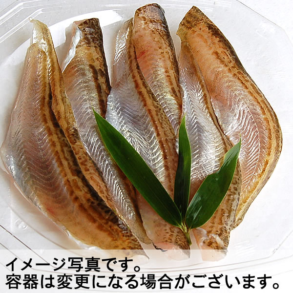 しゃぶしゃぶ用とろハタハタ 冷凍 約100ｇ 約２人前 浜坂産 大きなハタハタを使用しております はたはた 白ハタ の通販はau Pay マーケット 毎日漁港へ目利き一筋 かにの山米