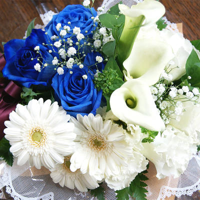 白いガーベラの初雪のメント《愛妻の日・・いい夫婦の日・誕生日・結婚記念日》 ポイント消化 100円 300円 500円の通販は 5,250円