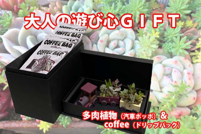 多肉植物 鉢 寄せ植え セット 【 汽車ポッポ 】 おしゃれ ギフト レア 誕生日 結婚記念日 父の日 母の日 クリスマス 敬老の日 お中元  ハオルチア アエオニウム エケベリア ビスタ プランター カット苗 セダム 花ギフトの通販はau PAY マーケット - 花ギフト山形産果物野菜 ...