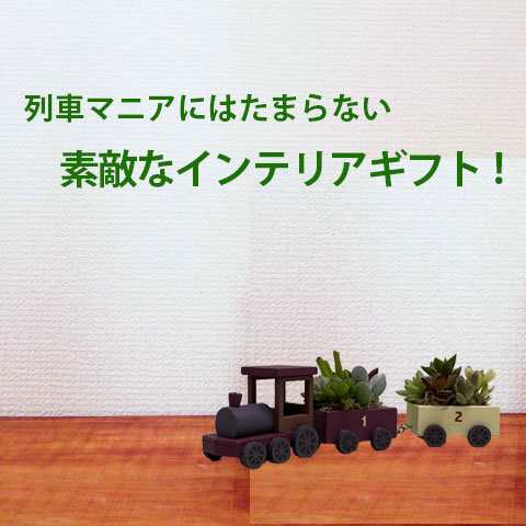 多肉植物 鉢 寄せ植え セット 【 汽車ポッポ 】 おしゃれ ギフト レア 誕生日 結婚記念日 父の日 母の日 クリスマス 敬老の日 お中元  ハオルチア アエオニウム エケベリア ビスタ プランター カット苗 セダム 花ギフトの通販はau PAY マーケット - 花ギフト山形産果物野菜 ...