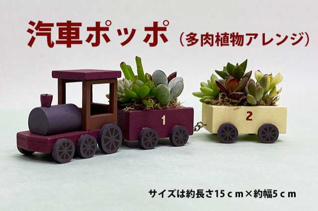 多肉植物 鉢 寄せ植え セット 【 汽車ポッポ 】 おしゃれ ギフト レア 誕生日 結婚記念日 父の日 母の日 クリスマス 敬老の日 お中元  ハオルチア アエオニウム エケベリア ビスタ プランター カット苗 セダム 花ギフトの通販はau PAY マーケット - 花ギフト山形産果物野菜 ...