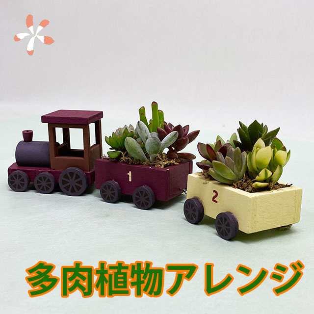 多肉植物 鉢 寄せ植え セット 汽車ポッポ おしゃれ ギフト レア 誕生日 結婚記念日 父の日 母の日 クリスマス 敬老の日 お中元 ハの通販はau Pay マーケット 花ギフト山形産果物野菜花樹有