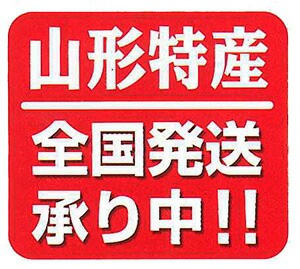 りんご ラフランス セット 送料無料 【 山形 ふじりんご・ラ フランス 干し柿 贈答用 セット ラフランス 6個 富士リンゴ 6個 干し柿 4パック 丸勘山形 】 ふじ フジ リンゴ 果物 10ｋｇ 訳あり 信州 青森 長野 農産物 【endsale_18】の通販は