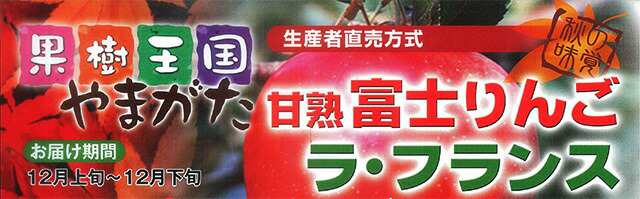 りんご ラフランス セット 送料無料 【 山形 ふじりんご・ラ フランス 干し柿 贈答用 セット ラフランス 6個 富士リンゴ 6個 干し柿 4パック 丸勘山形 】 ふじ フジ リンゴ 果物 10ｋｇ 訳あり 信州 青森 長野 農産物 【endsale_18】の通販は