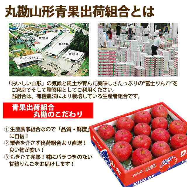 りんご ラフランス セット 送料無料 【 山形 ふじりんご・ラ フランス 干し柿 贈答用 セット ラフランス 6個 富士リンゴ 6個 干し柿 4パック 丸勘山形 】 ふじ フジ リンゴ 果物 10ｋｇ 訳あり 信州 青森 長野 農産物 【endsale_18】の通販は
