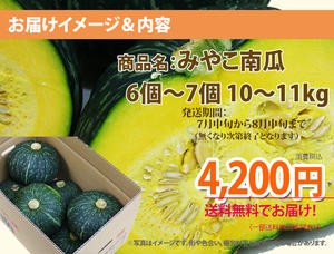 かぼちゃ カボチャ みやこかぼちゃ みやこ南瓜 通販 送料無料 10kg 国産 特徴 レシピ 栽培 旬 種 品種 有機 かぼちゃの種 北海道の通販はau Pay マーケット 花ギフト山形産果物野菜花樹有