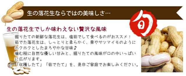 生落花生 落花生 生 山形産 品種おまかせ 10kg ５ｋｇ 2個 おおまさり