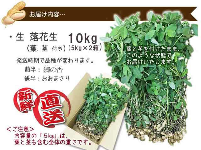 生落花生 落花生 生 山形産 品種おまかせ 10kg ５ｋｇ 2個 おおまさり