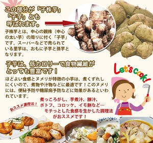 里芋 ねっとり さといも 山形 送料無料 ｓｓサイズ １０ｋｇ 小芋 ａ品 土生芋 とちゅうだ 皮むきが面倒ですが一番美味しい芋です サの通販はau Pay マーケット 花ギフト山形産果物野菜花樹有