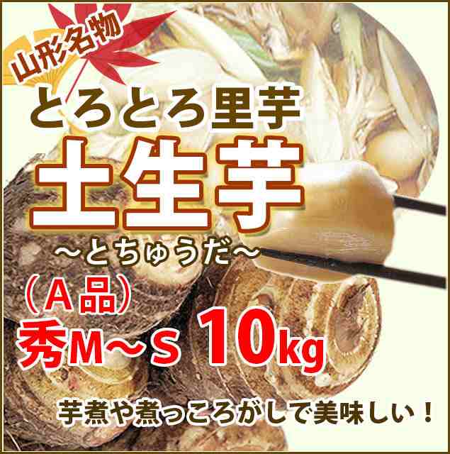 里芋 ねっとり さといも 山形 送料無料 10kg 秀Ｍ〜Ｓサイズ 孫株 A品 土生芋 とちゅうだ 芋煮・煮っころがしにおススめ 山形 粉 皮むき