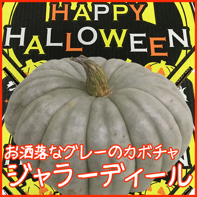 ハロウィン かぼちゃ カボチャ 生かぼちゃ ジャラーディール 飾り 巨大 置物 装飾 オブジェ パンプキン オーナメント 屋外 玄関 農の通販はau Pay マーケット 花ギフト山形産果物野菜花樹有