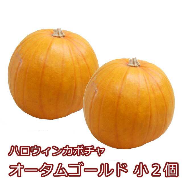 ハロウィン かぼちゃ カボチャ 生かぼちゃ 【 オータムゴールド 小 ２ ...