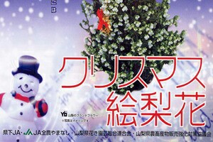 エリカ 鉢 スズランエリカ クリスマス 絵梨花 鉢植え ４号サイズ 誕生日 結婚記念日 お歳暮 クリスマス 育て方 山梨 通販 値段 の通販はau Pay マーケット 花ギフト山形産果物野菜花樹有