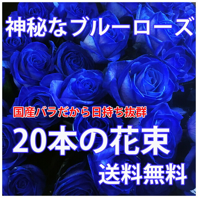 青いバラ ブルーローズ 【 20本とカスミ草 】 誕生日 プレゼント 青バラ 花束 青い薔薇 青薔薇 花 結婚記念日 送別会 花ギフト 青 薔薇 バラ 苗 サントリー 生花 レインボーローズ ポイント消化_1