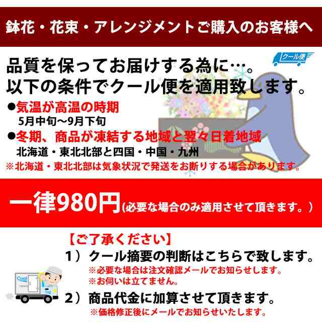 青いバラ ブルーローズ 【 奇跡の青薔薇 サントリー アプローズ 花束 35本 】 誕生日 プレゼント 青バラ 花束 送料無料 花 結婚記念日 送別会  花ギフト お中元 お供え 退職祝い 青 薔薇 バラ 苗 サントリー 生花 成人式 花ギフト｜au PAY マーケット