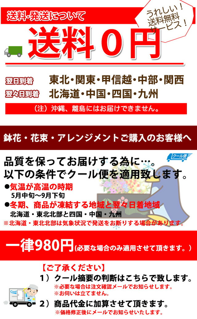 スイートピー オシャレ ＭＩＸ フラワーアレンジメント 大 誕生日 送料無料 プレゼントバラ 造花 卒業式 トミニ ボリューム プリザーブド フラワー 花ギフト_6