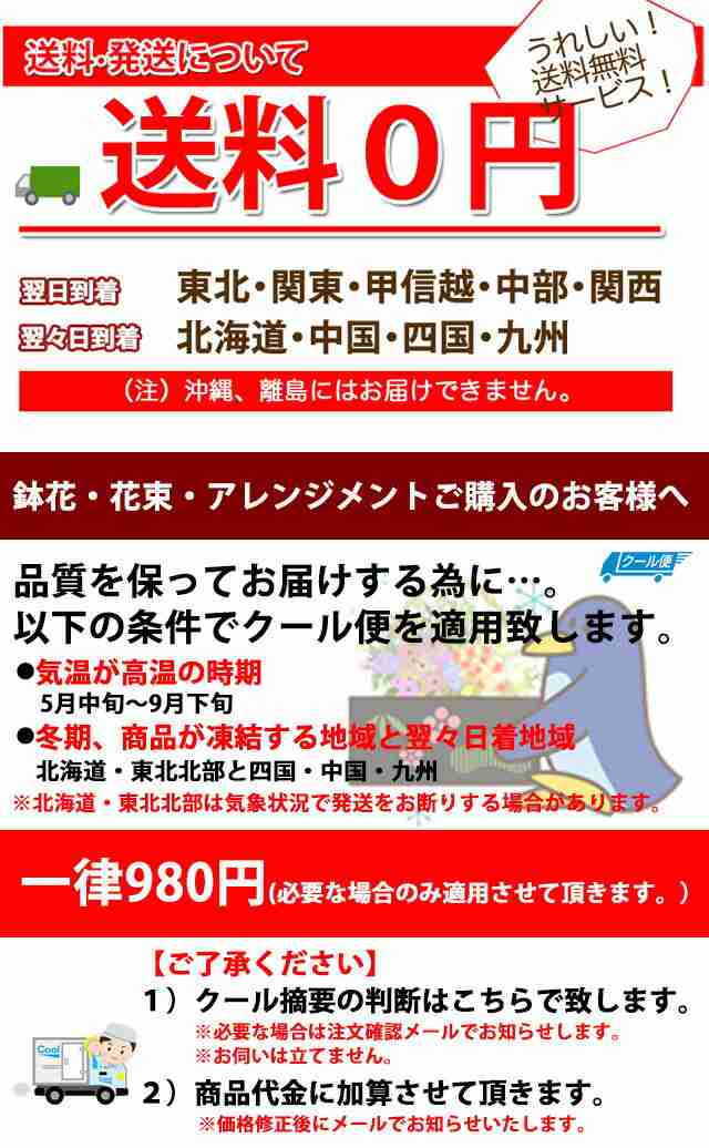 ほおずき 盆 お盆 4本 花束 ほうずき 切り花 お供え 花 鬼灯 お盆用品 生花 お盆飾り セット ミニ 花屋 造花 スノーピーク インカの通販はau Pay マーケット 花ギフト山形産果物野菜花樹有