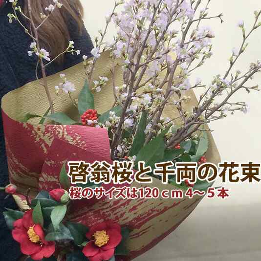 啓翁桜 山形 千両 桜 花束 山形 特級1ｃｍ 4 5本入り 桜の長さは豪快に飾れる長さ さくら 送料無料 切花 花 プレゼント アレンジメンの通販はau Pay マーケット 花ギフト山形産果物野菜花樹有