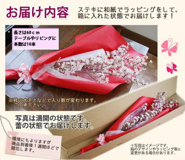 啓翁桜 桜 花束 山形 卒業 お花見 【 啓翁桜 特級60ｃｍ ５個 まとめ買い テーブルやリビング用 】 花 自宅でお花見 送別会プレゼント 送料無料 祝 花 誕生日 結婚記念日 フラワーギフト 花ギフト バレンタイン ホワイトデー 桃の節句 初節句 ひな祭り けいおう桜