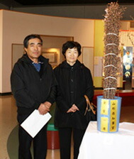 啓翁桜 桜 花束 山形 卒業 お花見 【 啓翁桜 特級60ｃｍ ５個 まとめ買い テーブルやリビング用 】 花 自宅でお花見 送別会プレゼント 送料無料 祝 花 誕生日 結婚記念日 フラワーギフト 花ギフト バレンタイン ホワイトデー 桃の節句 初節句 ひな祭り けいおう桜