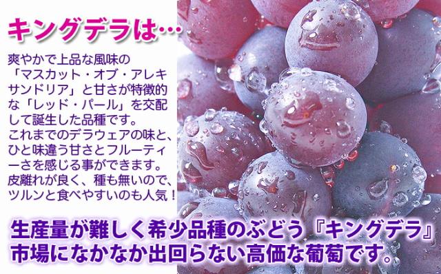 ぶどう キングデラウェア 【 秀 贈答 キングデラ ２kg （満杯詰め） １０箱 山形市本沢産 】 葡萄 ブドウ 送料無料 デラウェア お中元 ギフト 果物 高級 種無し ピオーネ シャインマスカット 農産物 ポイント消化_3