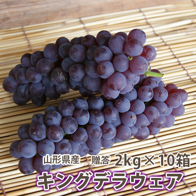 ぶどう キングデラウェア 【 秀 贈答 キングデラ ２kg （満杯詰め） １０箱 山形市本沢産 】 葡萄 ブドウ 送料無料 デラウェア お中元 ギフト 果物 高級 種無し ピオーネ シャインマスカット 農産物 ポイント消化