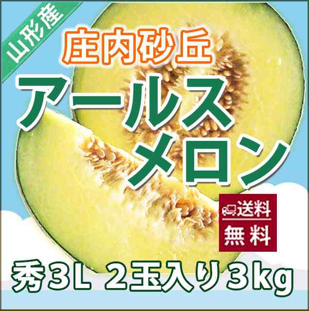 メロン 送料無料 【 アールスメロン 秀３Ｌ ２個入り 庄内砂丘 】 秀 高級 化粧箱 2L アンデス メロン 品種 直売所 時期 価格 旬 フルー