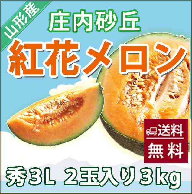 メロン 送料無料 ギフト 紅花メロン アンデスメロン 秀３ｌ ２個入り 庄内砂丘 高級 プレゼント 化粧箱 2l アンデス 品種 果物 フの通販はau Pay マーケット 花ギフト山形産果物野菜花樹有