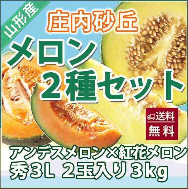 メロン 送料無料 食べ比べセット 紅花メロン アンデスメロン 秀３ｌ 各１個 計２個入り 庄内砂丘 秀 高級 ト 化粧箱 2l アンデスの通販はau Pay マーケット 花ギフト山形産果物野菜花樹有