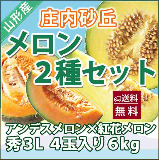 メロン 送料無料 【 食べ比べセット 紅花メロン アンデスメロン 秀３Ｌ 各2個　計４個入り 庄内砂丘 】 秀 高級 ト 化粧箱 2L アンデス