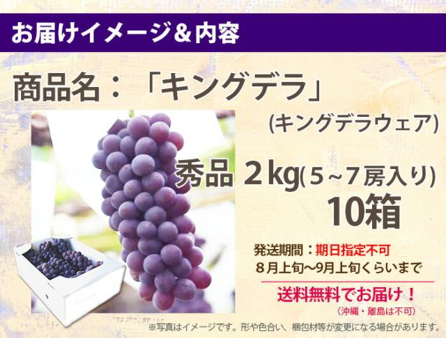 ぶどう キングデラウェア 【 秀 贈答 キングデラ ２kg （満杯詰め） １０箱 山形市本沢産 】 葡萄 ブドウ 送料無料 デラウェア お中元 ギフト 果物 高級 種無し ピオーネ シャインマスカット 農産物 ポイント消化_4