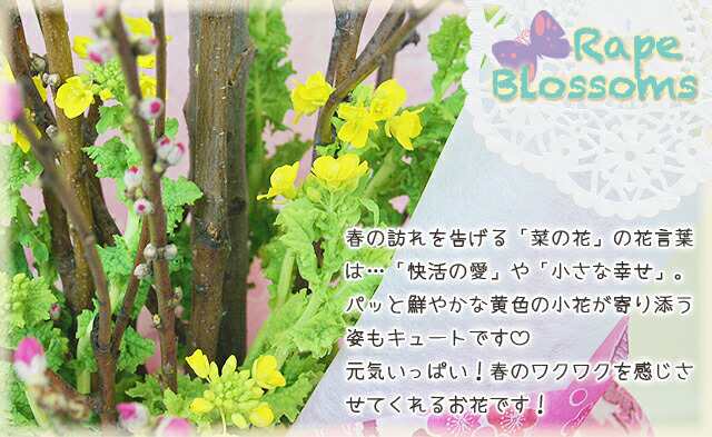 ひな祭り 花 桃の花 送料無料 【 花桃と菜の花 花束（家庭で飾るに丁度いいサイズ) 】 花もも ハナ桃 なの花 花桃 なの花 ナノハナ 菜花 鉢植え 苗  ひなまつり 雛祭り 花 矢口桃 お供え 花ギフト ポイント消化 100円 300円 500円の通販はau PAY マーケット - 花ギフト山形 ...