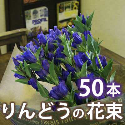 お中元 お盆 お彼岸 敬老の日 お彼岸 花 ギフト【 山形産 蔵王リンドウ 50本 花束 りんどう 】 生花 お彼岸 プレゼント 送料無料 鉢植え ト 白寿 リンドウ アレンジメント 苗 花束 セット 供花 花ギフト 供 ポイント消化 100円 300円 500円の通販は お中元 お盆 お彼岸 敬老の日 お彼岸 花 ギフト【 山形産 蔵王リンドウ 50本 花束 りんどう 】 生花 お彼岸 プレゼント 送料無料 鉢植え ト 白寿 リンドウ アレンジメント 苗 花束 セット 供花 花ギフト 供 ポイント消化 100円 300円 500円の通販は