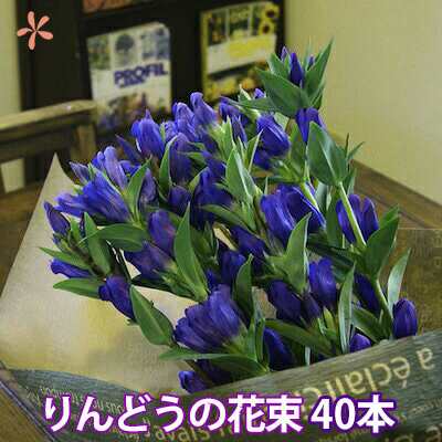 お中元 お盆 お彼岸 敬老の日 お彼岸  花 ギフト【 山形産 蔵王リンドウ40本 花束 りんどう 】 生花 お彼岸 プレゼント 送料無料 鉢植え ト 白寿 リンドウ アレンジメント 苗 花束 セット 供花 花ギフト 供 ポイント消化 100円 300円 500円の通販は