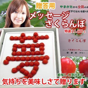 さくらんぼ 佐藤錦 山形 贈答 ギフト 送料無料 【 秀2L 1kg 手詰め 並べ詰め 佐藤N (S-009) 】 プレゼント チェリー お中元 サクランボの通販は
