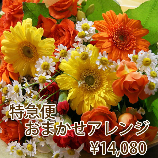 花 ギフト プレゼント バレンタイン ホワイトデー 【 フラワー特急便 当日届く PM1時までの受付 14,080円 】  花キューピット 花束 フラワー あじさい ひまわり バラ 仏花  仏壇用 開店祝い 花ギフト  誕生日 結婚記念日