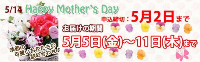 母の日 花 21年 予約 寄せ植え ベコニア カランコエ カーネーション ３種類からいずれか １鉢 ２個セット販売 サンコフ Sm 13の通販はau Pay マーケット 花ギフト山形産果物野菜花樹有