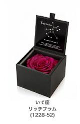 プリザーブド 花 ギフト 送料無料 いて座 11月23日から12月22日生まれ のホロスコープ リッチプラム 1228 52 誕生日 結婚記念日 の通販はau Pay マーケット 花ギフト山形産果物野菜花樹有