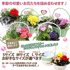 寄せ植え 寄せかご 送料無料 Aセット ２鉢入り 贈り物 多肉植物 ガーデニング ハーブ 通販 プレゼント 花ギフト 正月 クリの通販はau Pay マーケット 花ギフト山形産果物野菜花樹有