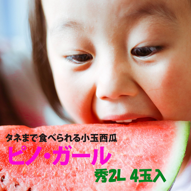 2025 予約 小玉スイカ 山形 送料無料 【 ピノガール 秀２Ｌ 4玉入り 】 尾花沢スイカ 山形産 小玉すいか 西瓜 農産物の通販は