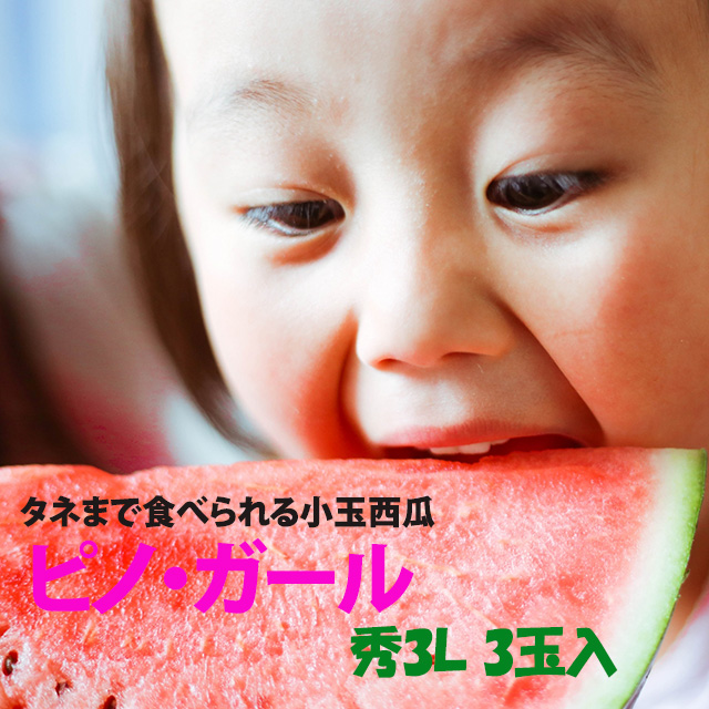 2025 予約 小玉スイカ 山形 送料無料 【 ピノガール 秀３Ｌ ３玉入り 】 尾花沢スイカ 山形産 小玉すいか 敬老の日 お彼岸 西瓜 贈答用 訳あり すいか 農産物の通販は