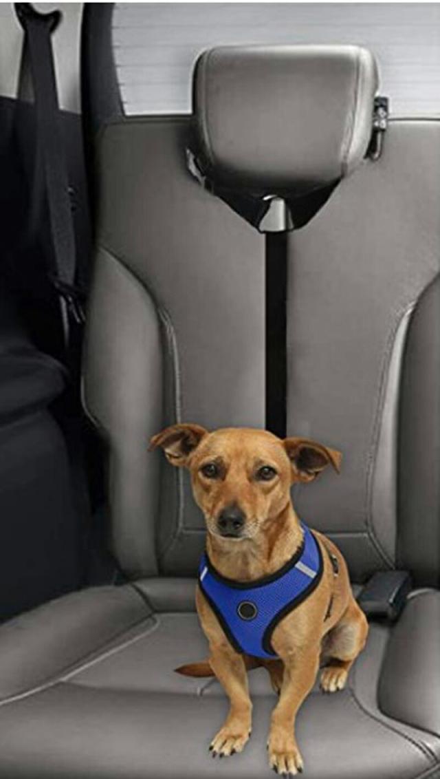 ペット用 シートベルトドライブ 安全ベルト 犬用 の通販はau Pay マーケット Decto
