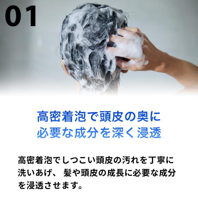 【第1類医薬品】HIX ヒックス ミノキシジル 5 60mL ×4本 スカルプシャンプー 250mL セット hx11000013 ミノキ 5% ジェネリック シャンプー 髪 が 太く なる 細い髪 高 評価 メンズ 発毛剤 育毛剤 アデノシン アミノ酸 男性用 aga 治療 外用薬 70代 脱毛 進行予防 薄毛_14