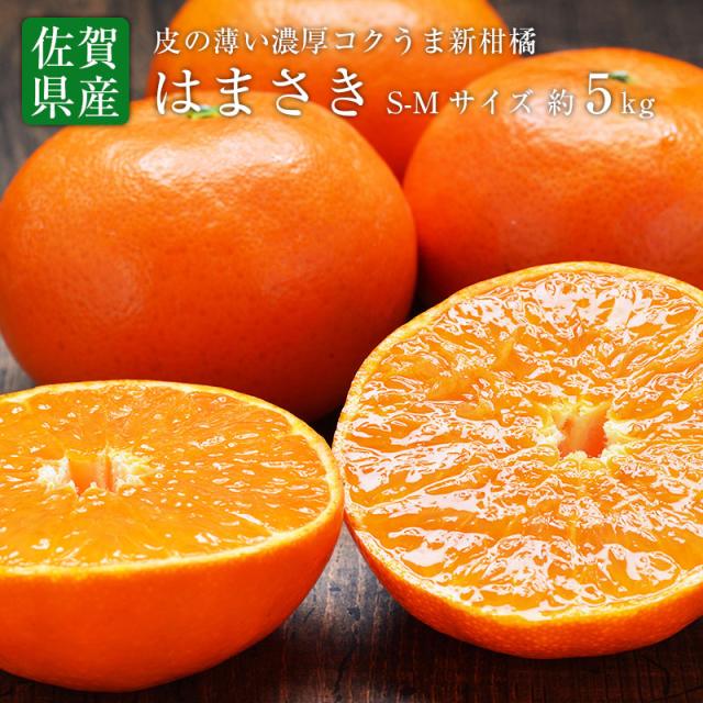 送料無料 佐賀県産 唐津 はまさき S-M 約5kg はまさき みかん 佐賀 送料無料 ギフト 贈答 プレゼント 内祝い 出産祝い フルーツギフトの通販は 6,980円