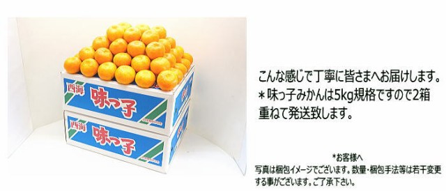 送料無料　糖度　約10kg　街の果樹園　マーケット　PAY　西海　西海　味っ子みかん　送料無料　みかん　小粒みかん　マーケット－通販サイト　長崎　PAY　高糖度　みかん　味っ子の通販はau　2Sサイズ　長崎県産　みかん　味っ子　au