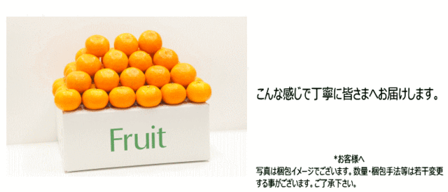 和歌山　PAY　マーケット　みかん　au　下津　5kg　送料無料　和歌山県産　約5kg　お歳暮　ギフト【11月下旬より順次発送】の通販はau　みかん　硲　街の果樹園　Lサイズ　フルーツ　PAY　マーケット－通販サイト